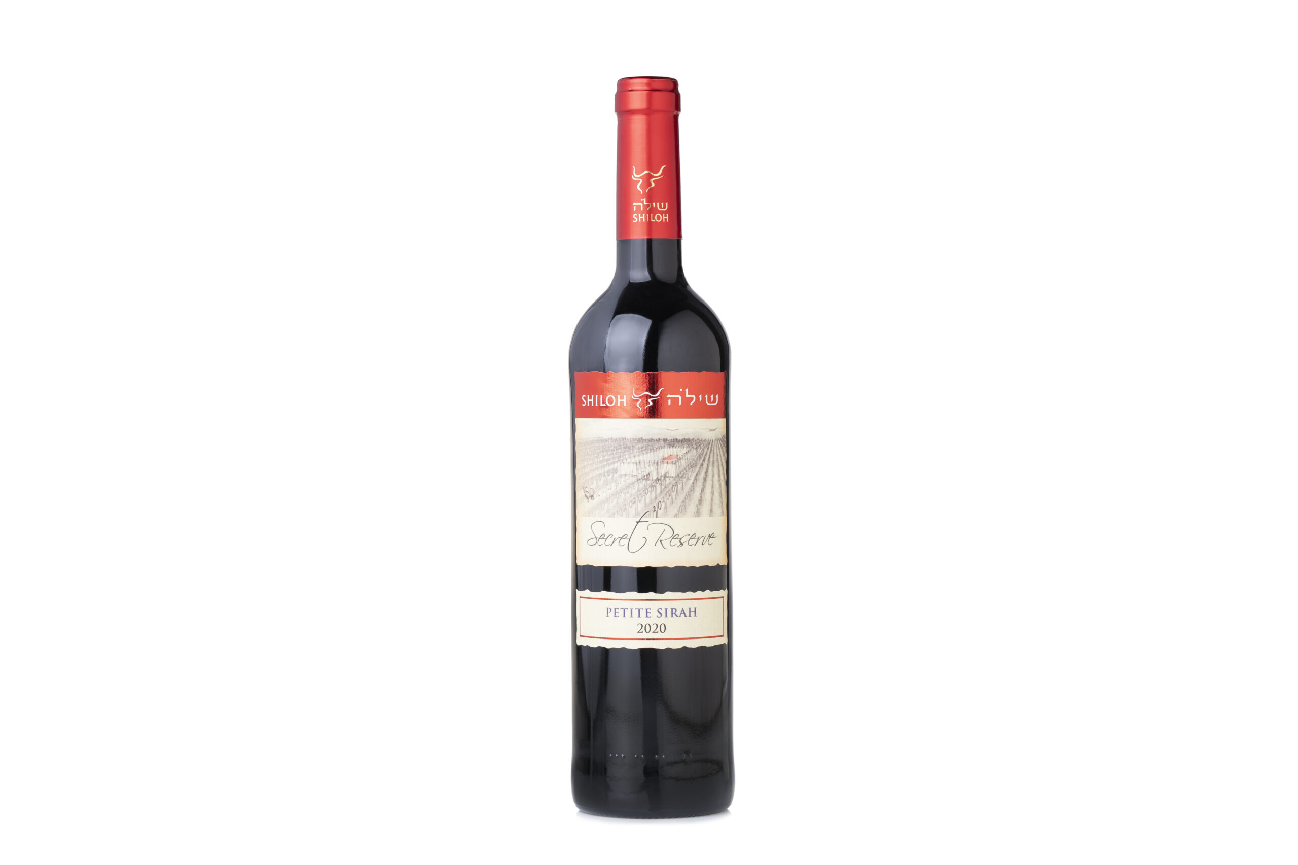 Shiloh - Petit Syrah